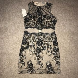 Black Lace Tobi Dress